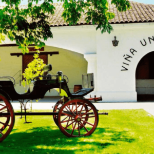 Tour na Vinícola Undurraga com Degustação